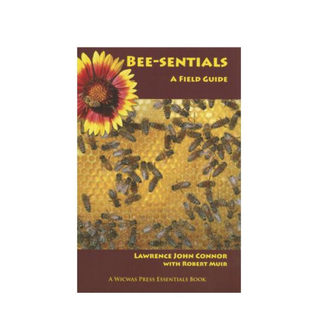 Bee-sentials: A Field Guide